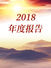 2018年年度工作报告