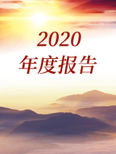 2020年年度工作报告