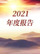 2021年年度工作报告